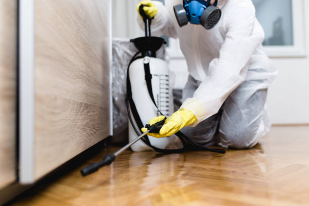 Best Pest Removal Services  in Wapello, IA