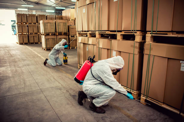 Best Local Pest Control Services  in Wapello, IA