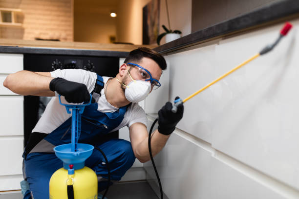 Best Exterminator Services  in Wapello, IA