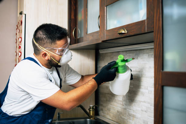 Pest Control for Restaurants in Wapello, IA