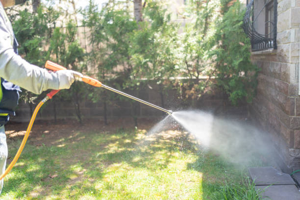 Best Pest Control for Businesses  in Wapello, IA