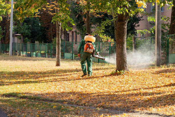 Best Local Pest Control Services  in Wapello, IA