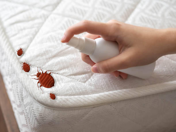 Best Pest Control for Restaurants  in Wapello, IA